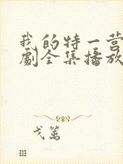 我的特一营电视剧全集播放封面