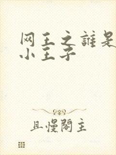 网王之谁是我的小王子