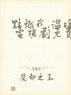 点燃我,温暖你 电视剧免费观看