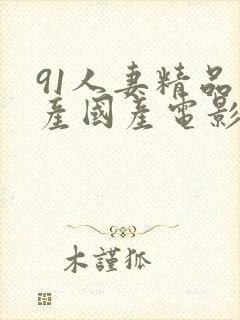 91人妻精品国产国产电影