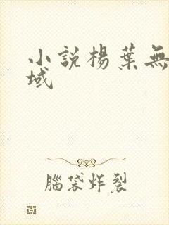 小说杨叶无敌剑域