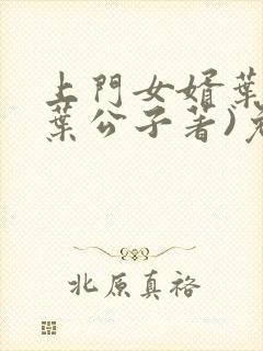 上门女婿叶辰(叶公子著)免费封面