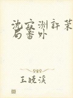 沈寂洲许茉大结局番外