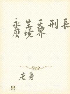 永生天刑长老什么境界