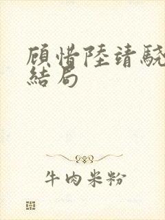 顾惜陆靖骁番外结局封面