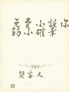 免费小说你是我的小确幸