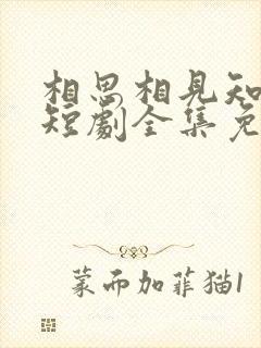 相思相见知何日短剧全集免费观看