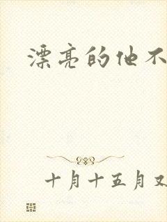 漂亮的他不说话封面