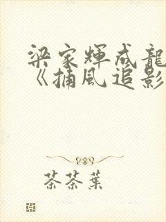 梁家辉成龙新片《捕风追影》在线观看