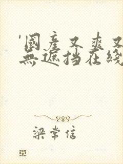 '国产又爽又黄无遮挡在线视频,观看