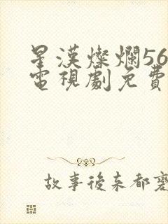 星汉灿烂56集电视剧免费看全集