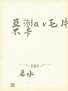 亚洲a v毛片不卡