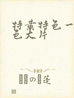 特黄特色一级特色大片