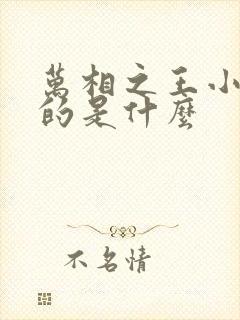 万相之王小说讲的是什么