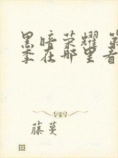 黑暗荣耀 第二季在哪里看