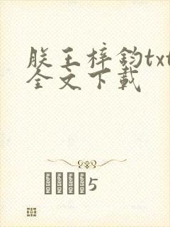朕王梓钧txt全文下载