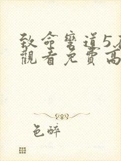 致命弯道5在线观看免费高清完整