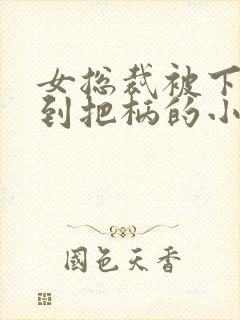 女总裁被下属抓到把柄的小说