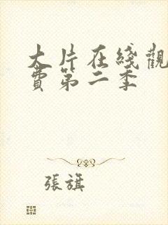 大片在线观看免费第二季