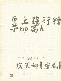 皇上强行糟蹋太子np高h