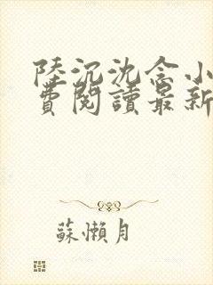 陆沉沈念小说免费阅读最新章节