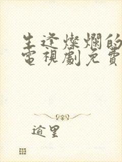 生逢灿烂的日子电视剧免费看