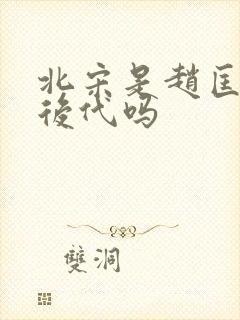 北宋是赵匡胤的后代吗