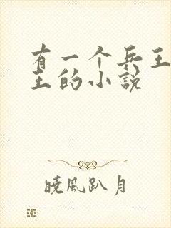 有一个兵王叫龙王的小说