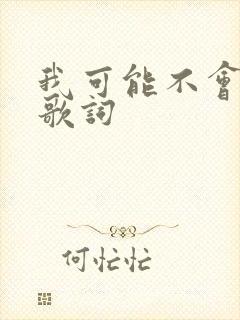 我可能不会爱你歌词