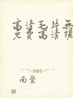 高清毛片无遮挡免费高清视频