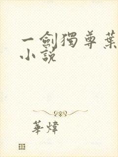 一剑独尊叶玄 小说