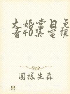 大婚当日免费观看40集电视连续剧