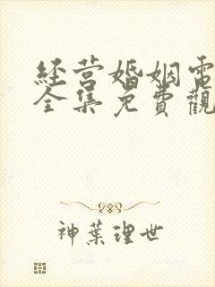 经营婚姻电视剧全集免费观看