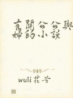 有关公公与儿媳妇的小说封面