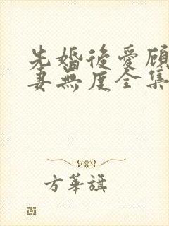 先婚后爱顾总宠妻无度全集封面