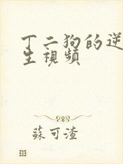 丁二狗的逆袭人生视频