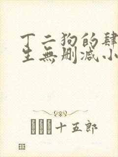 丁二狗的肆意人生无删减小说免费