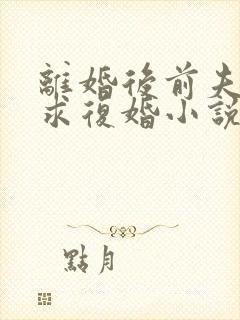 离婚后前夫哭着求复婚小说免费阅读免费封面