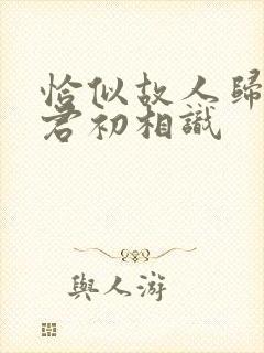 恰似故人归 与君初相识封面