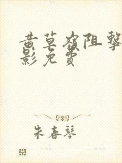 黄草岭阻击战电影免费