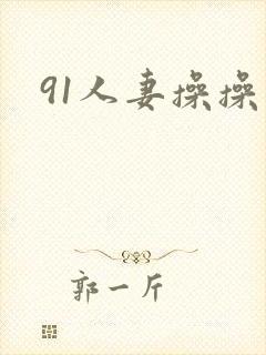 91人妻操操
