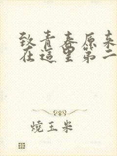 致青春原来你还在这里第二部