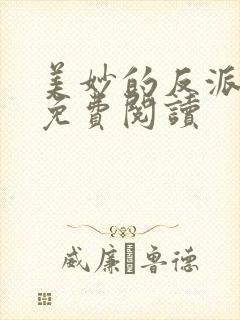 美妙的反派小说免费阅读封面