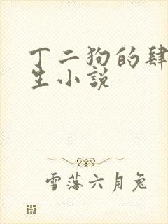 丁二狗的肆意人生小说封面