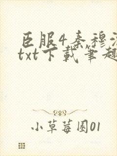 臣服4秦穆沈流txt下载笔趣阁