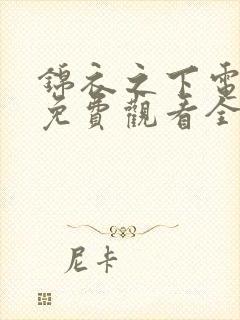 锦衣之下电视剧免费观看全集在线播放