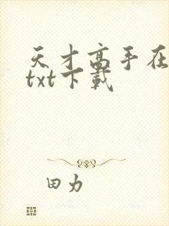 天才高手在都市txt下载封面