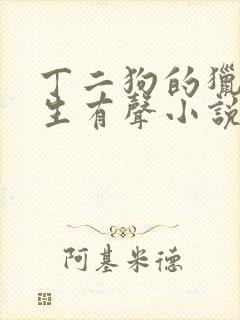 丁二狗的猎艳人生有声小说全集