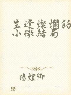 生逢灿烂的日子小微结局