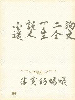 小说丁二狗的逍遥人生全文